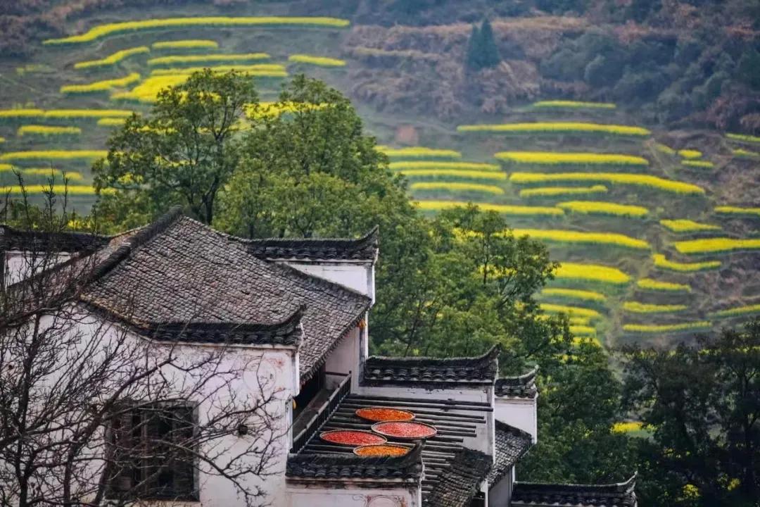 阳台小记,阳台小茶台
