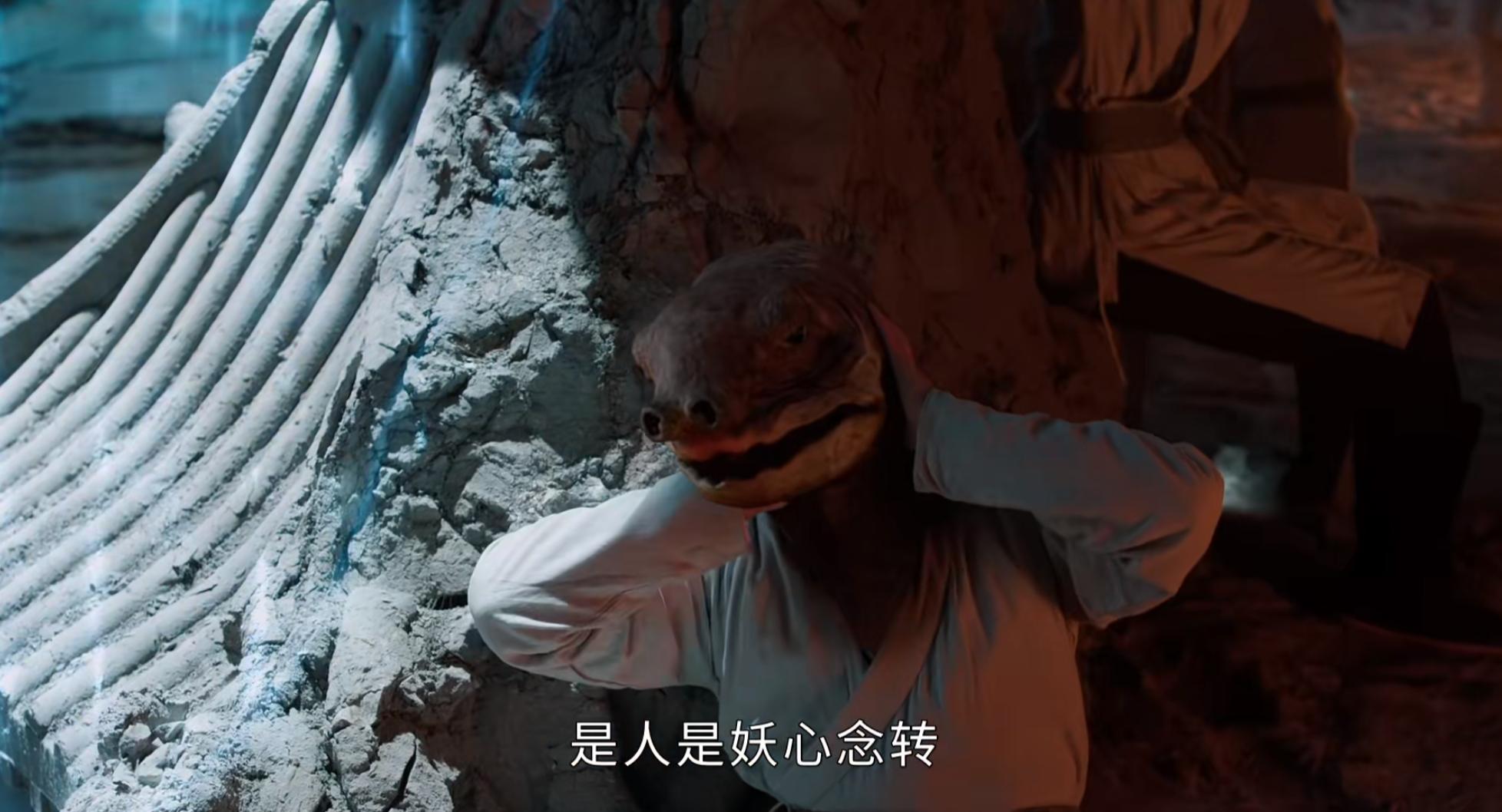 少年白马醉春风侯明昊出圈,侯明昊周也护心直播回放