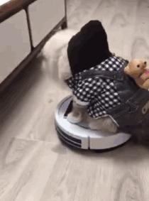 再也不喝酒了叫了个女代驾,叫个女代驾花了1800是什么梗