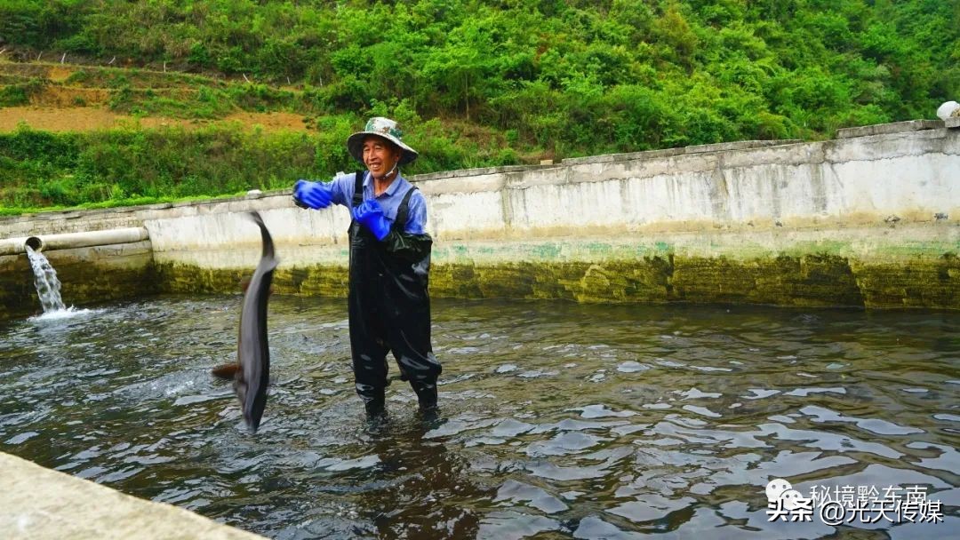 黄平县上塘镇：鲟鱼“游出”小山村冷水养殖富村民