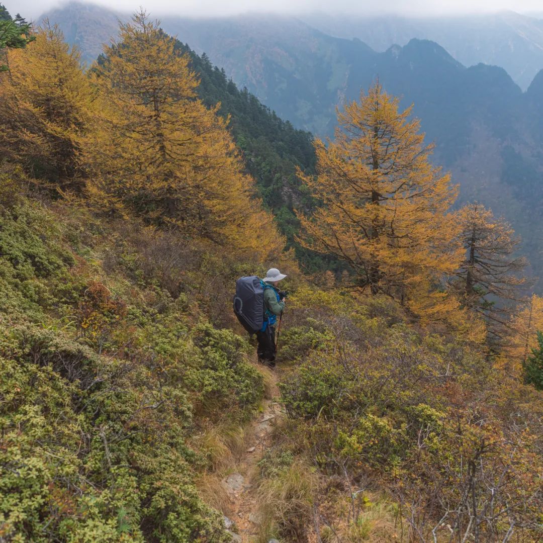 登太白山感受,太白山景区登顶拔仙台