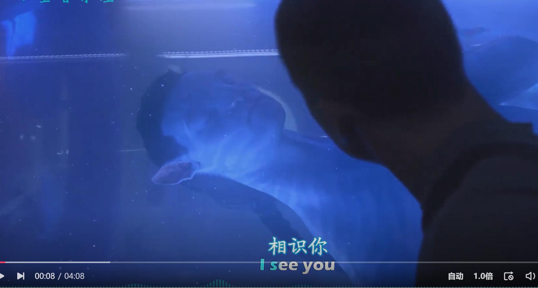 家长牢记5个元音字母意义重大：小学900基础词词源解析第三十一课