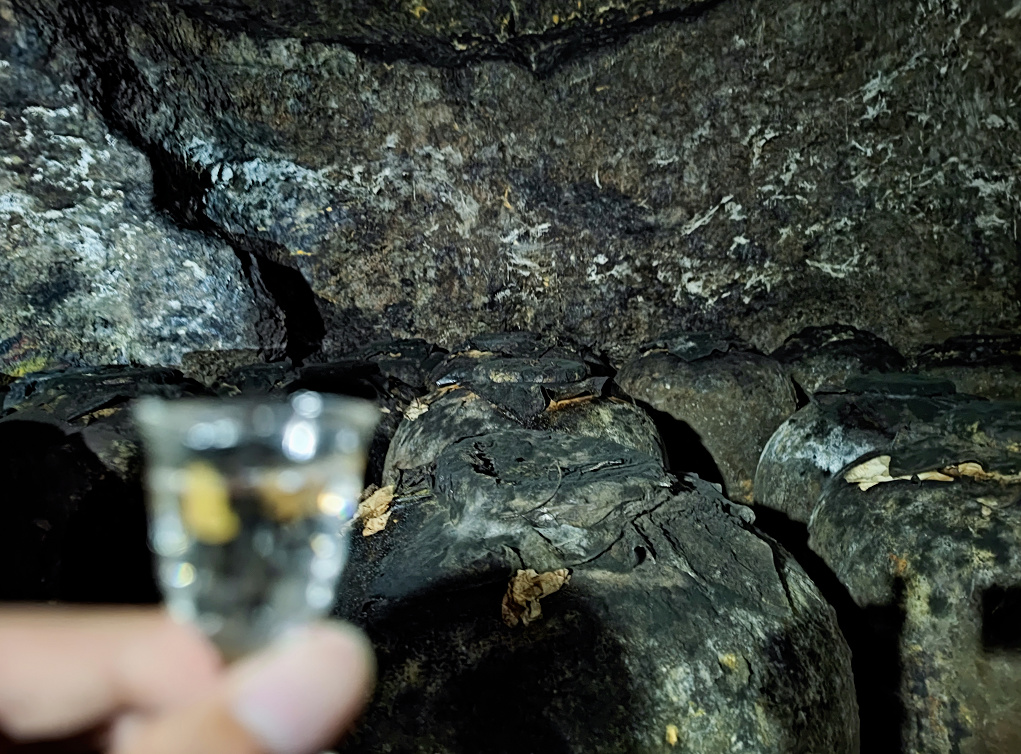 龟仙洞酒优势,龟仙洞酒真实评测