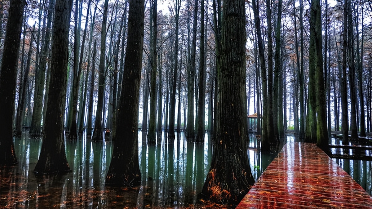 在江苏的“绿林仙海”中，寻找侠气与柔情