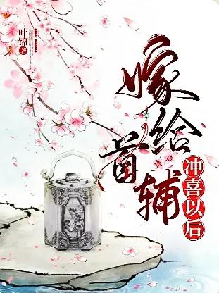 男主是首辅丞相权臣的甜宠文,男主是首辅的宠文小说