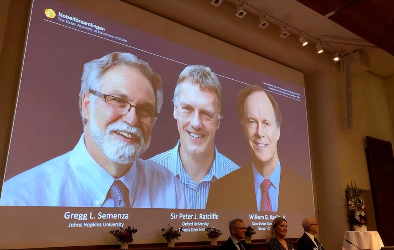 氧气对人体健康产生影响,你知道氧气与人体健康的关系吗