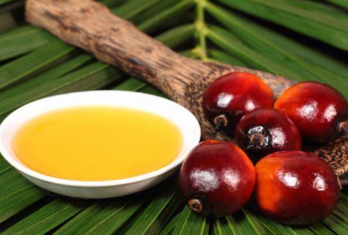 猪油危害最大是心血管病的元凶,猪油对心血管疾病的危害