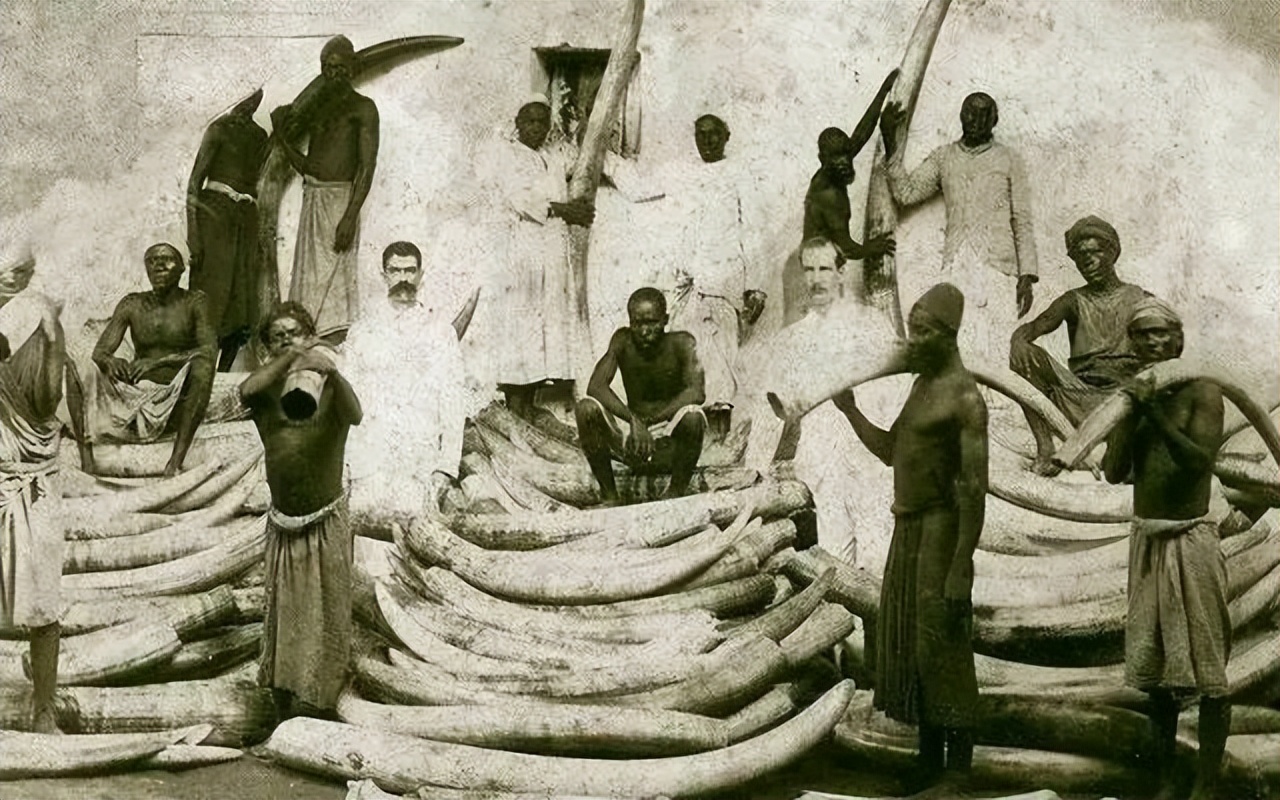 欧洲人贩运黑奴时，为何从不许黑奴穿衣服？背后原因尽显人性丑恶