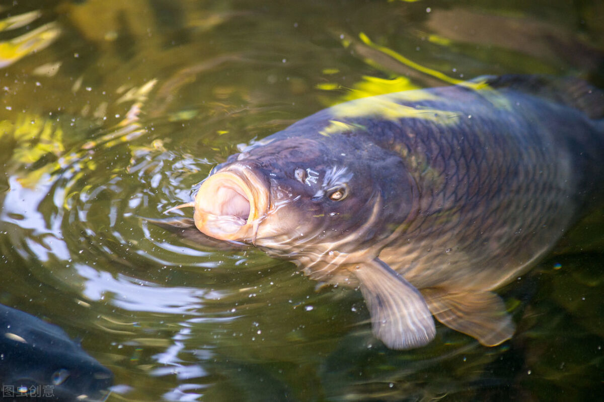 滕王阁序中的贪泉是哪里,滕王阁序中的典故和寓意