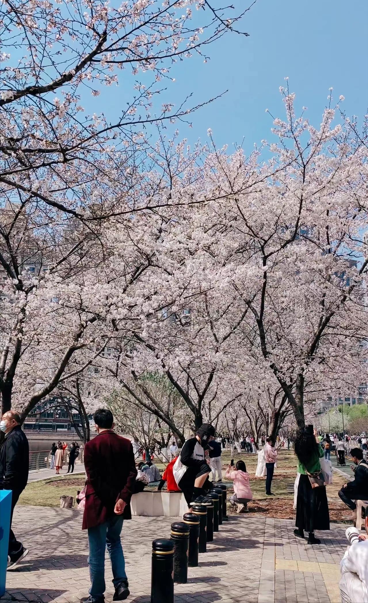 武汉老油条,武汉老油条烧烤