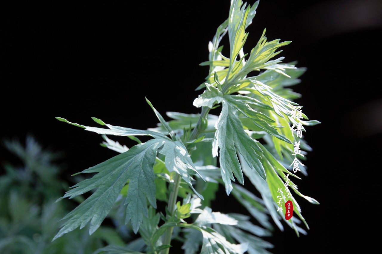 端午节必备神草,端午节最有效的草是什么草
