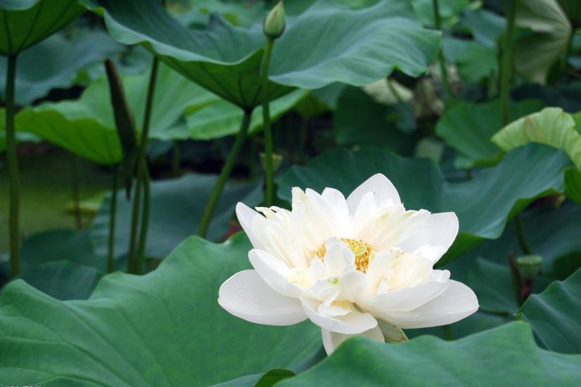 你的微信名代表了你的性格特征,微信名字能反映一个人的性格吗