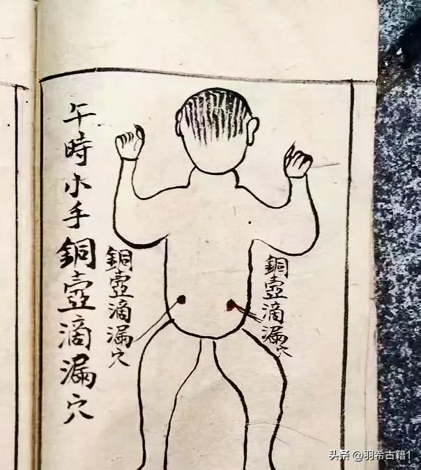 三十六大穴点穴法,三十六穴位歌诀