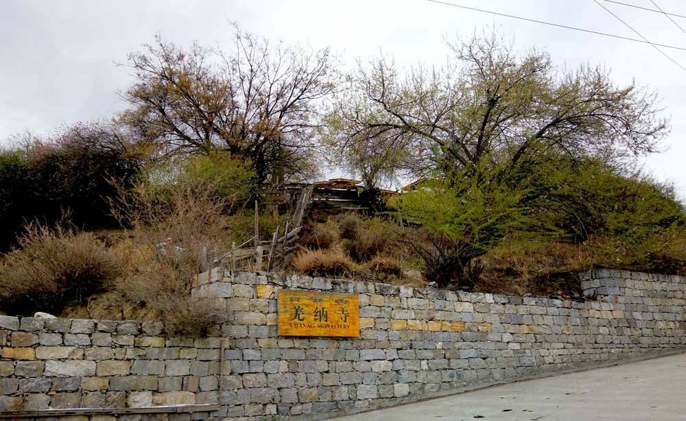 藏南林芝管辖地图,西藏藏南林芝县