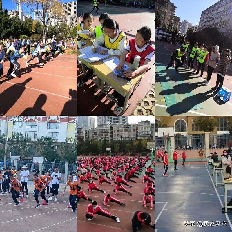 爱打篮球能考什么学校,爱打篮球吗