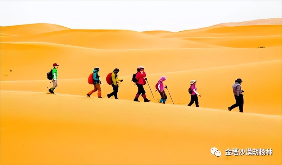 酒泉旅游攻略一天免费游玩,酒泉市一日游攻略