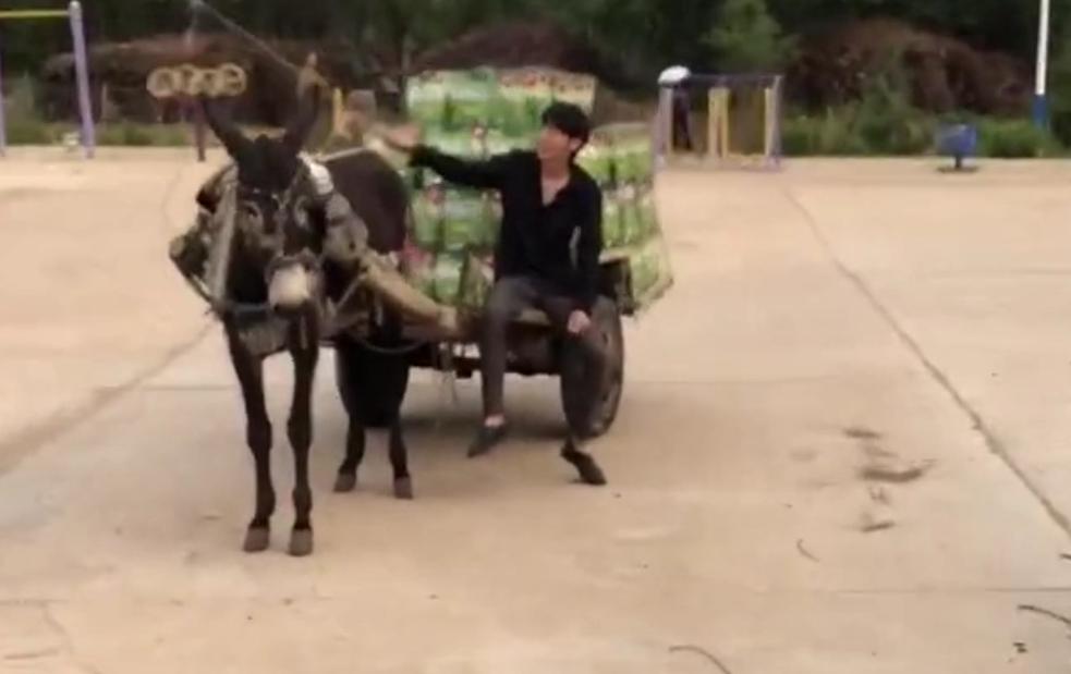 寡人单挑7个60级神豪回放,寡人喝酒一战封神视频是真是假