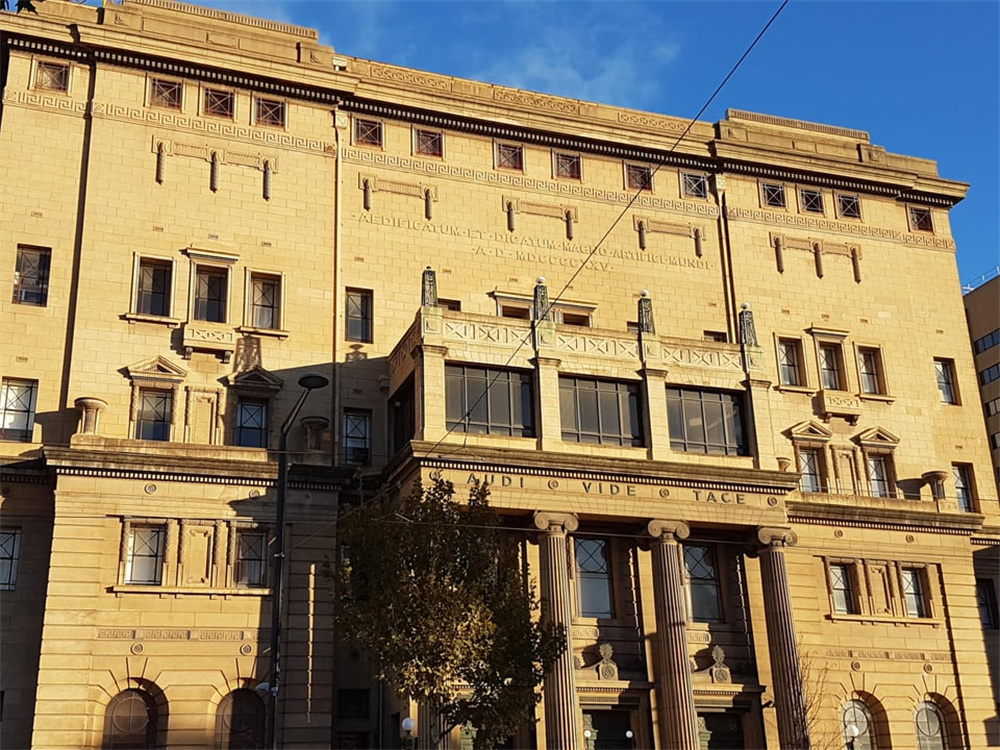 加蓬黑脸猩猩,加蓬长尾猴图片