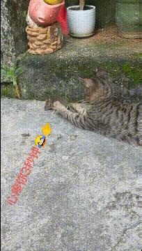 老婆包里发现的药片,老婆包里发现这个药片