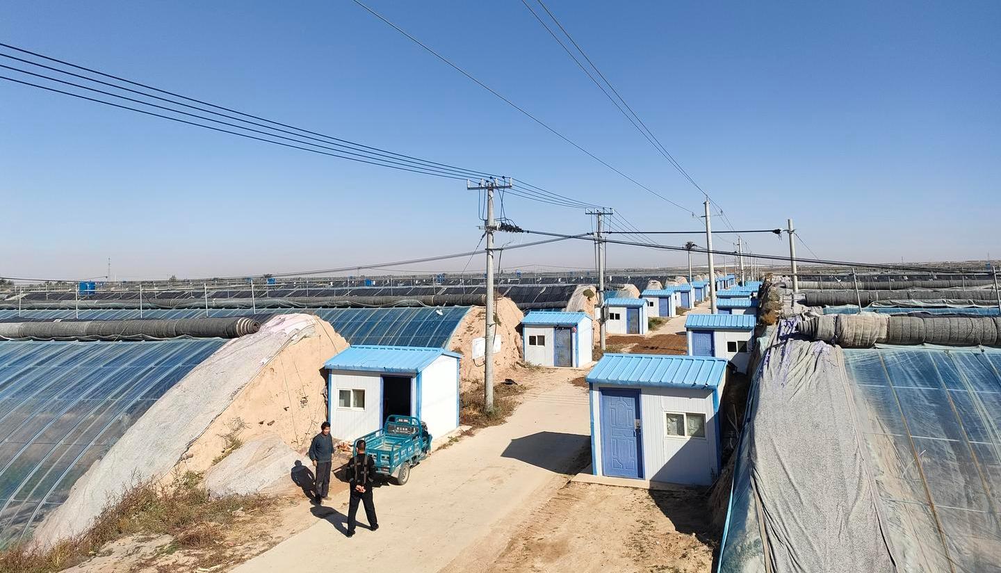 【奋进新征程建功新时代·喜迎二十大】大力发展香瓜产业拓宽农民致富路