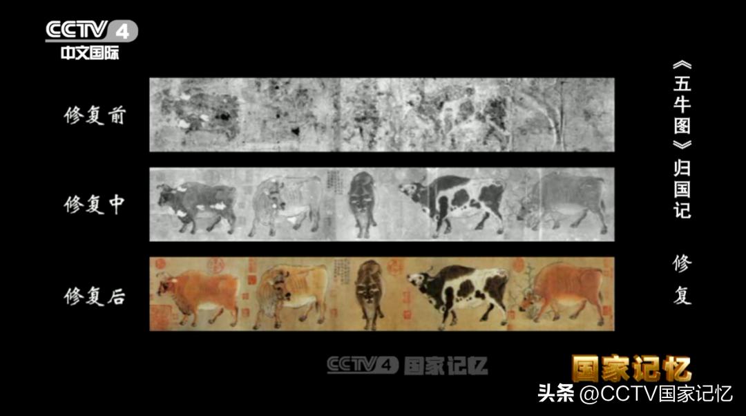 国宝五牛图的真实故事,国宝五牛图修复前的样子好吓人