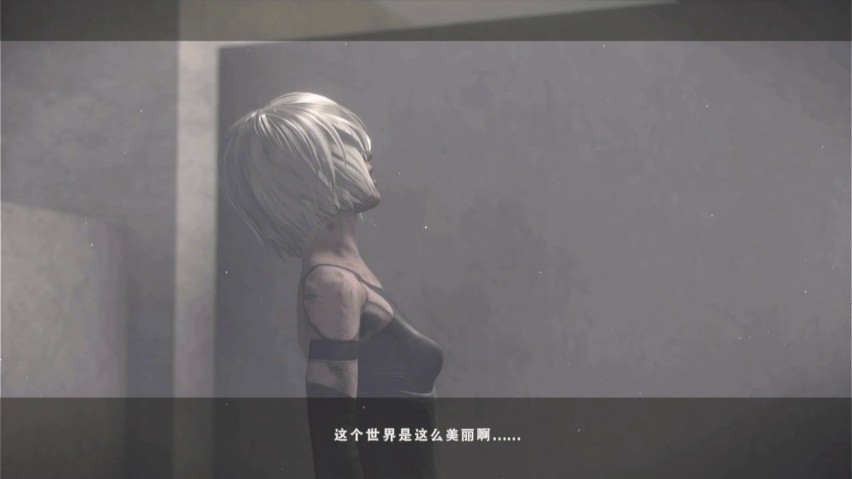 尼尔机械纪元switch该买哪个版本,游戏推荐尼尔机械纪元ns