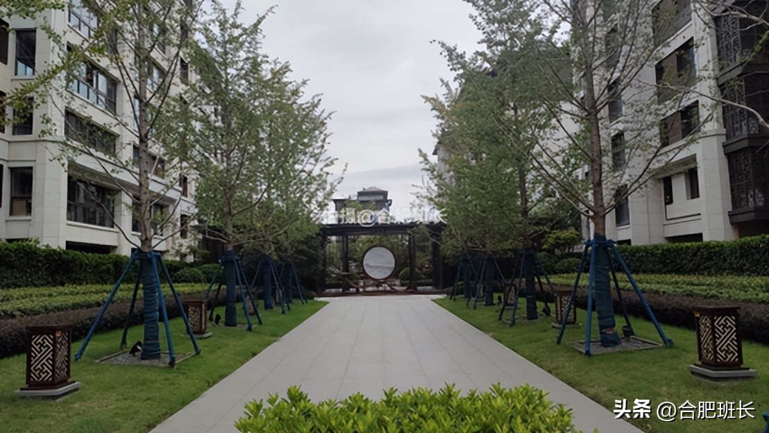 紧邻公园不如住在公园，实探以中式园林闻名的滨湖区葛洲坝紫郡府