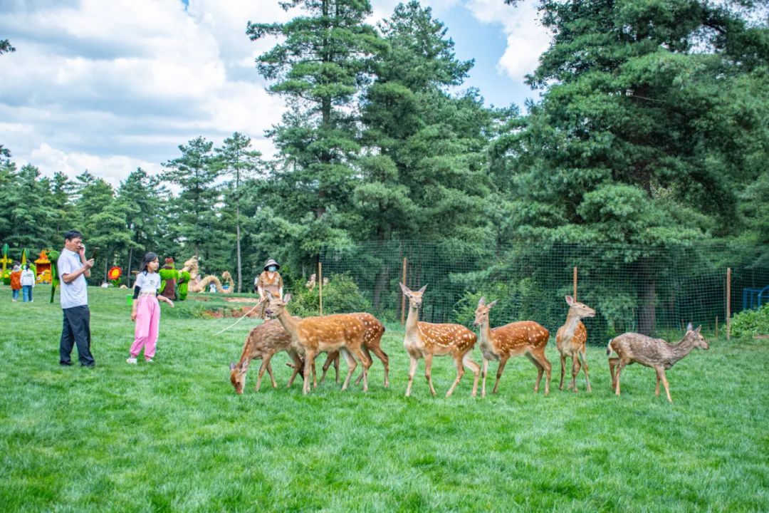 昆明元宵节官渡古镇灯会,昆明元宵节旅游景点介绍