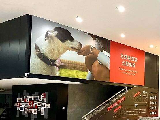 易宠科技新一轮融资,易宠科技商业模式