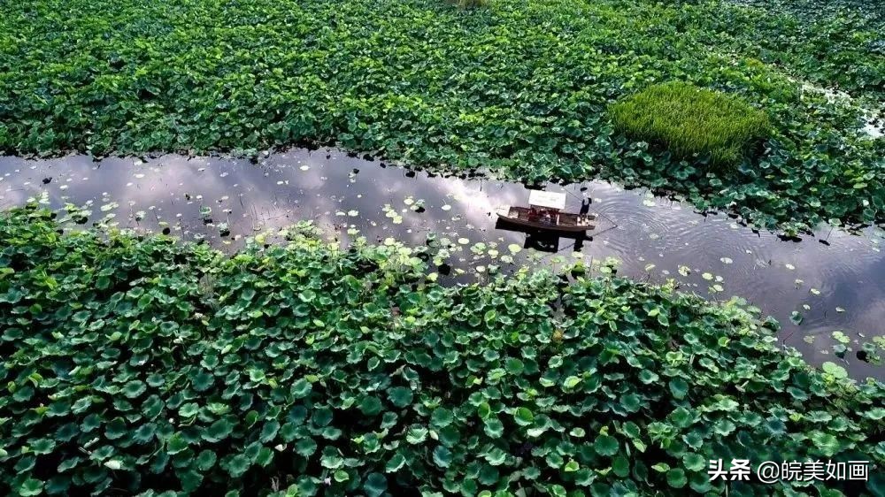 夏天避暑宝藏胜地,安徽夏天避暑最佳旅游地