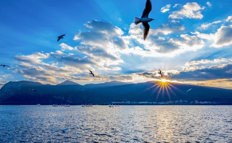 昆明旅游必去十大景点有哪些,昆明市区必玩旅游景点排名前十