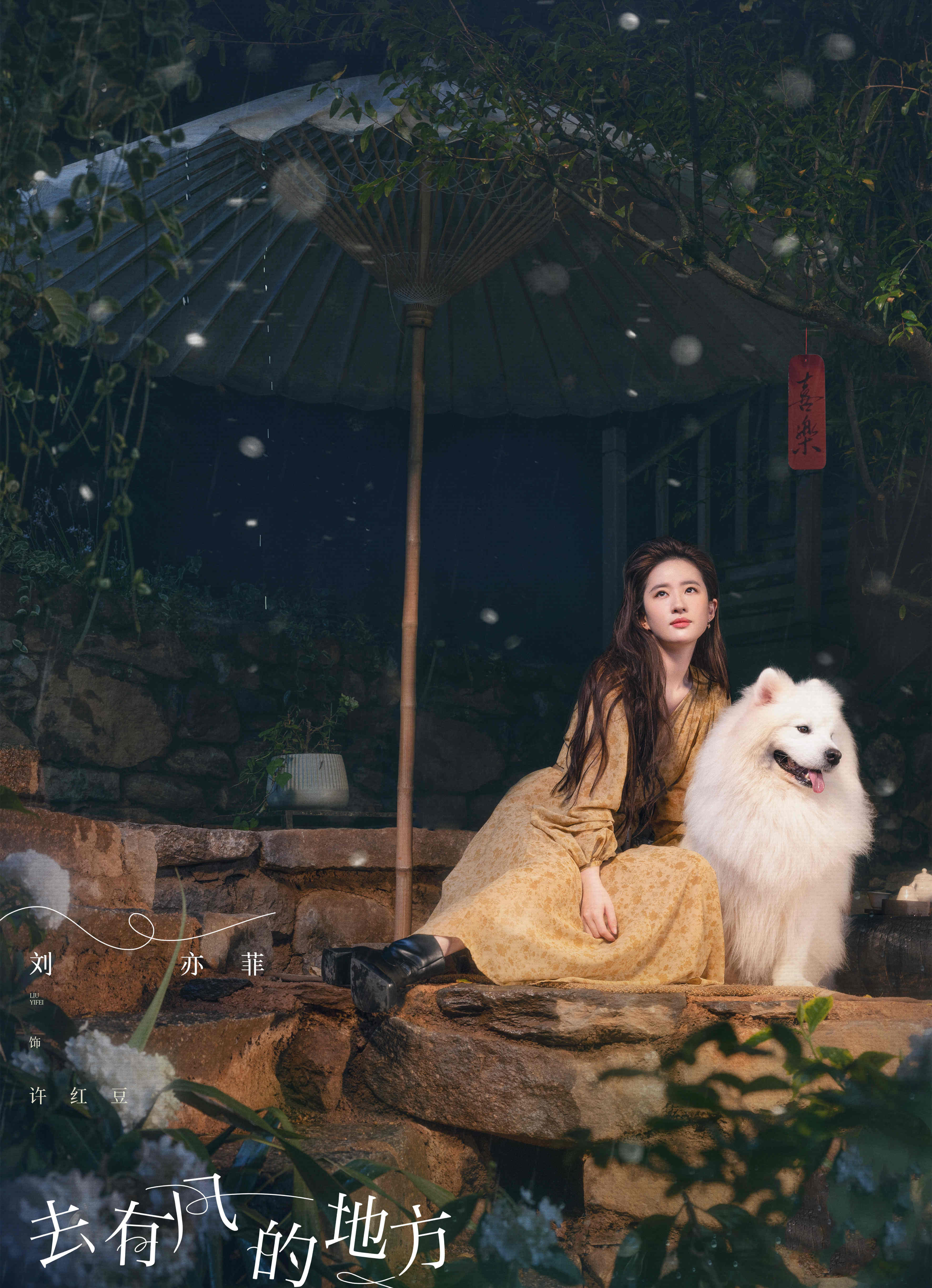 2023年最好的十部剧,2023评分最高的10部剧