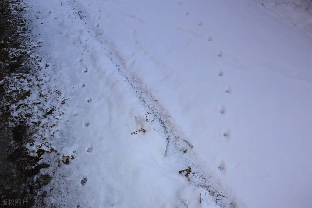 用心去感受生活的句子,惬意的时光感悟