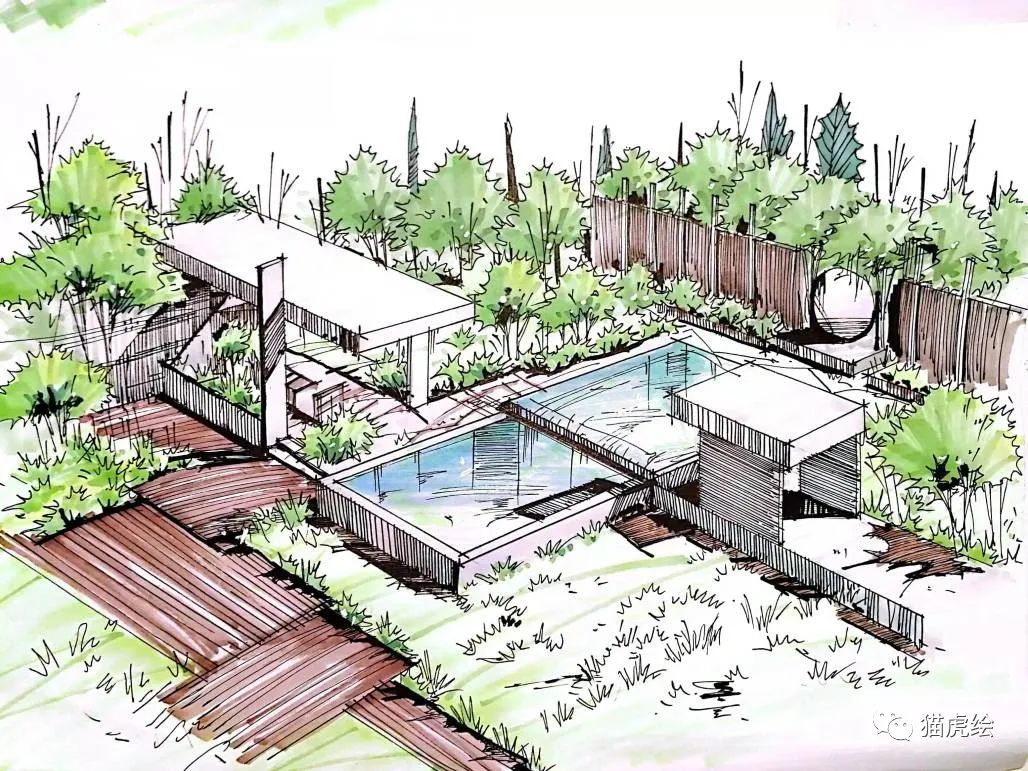 2022猫虎绘暑假手绘班招生简章「线上+线下」