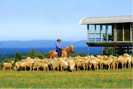 菜吧：采摘、垂钓、认养做不好？这样升级还能找条活路