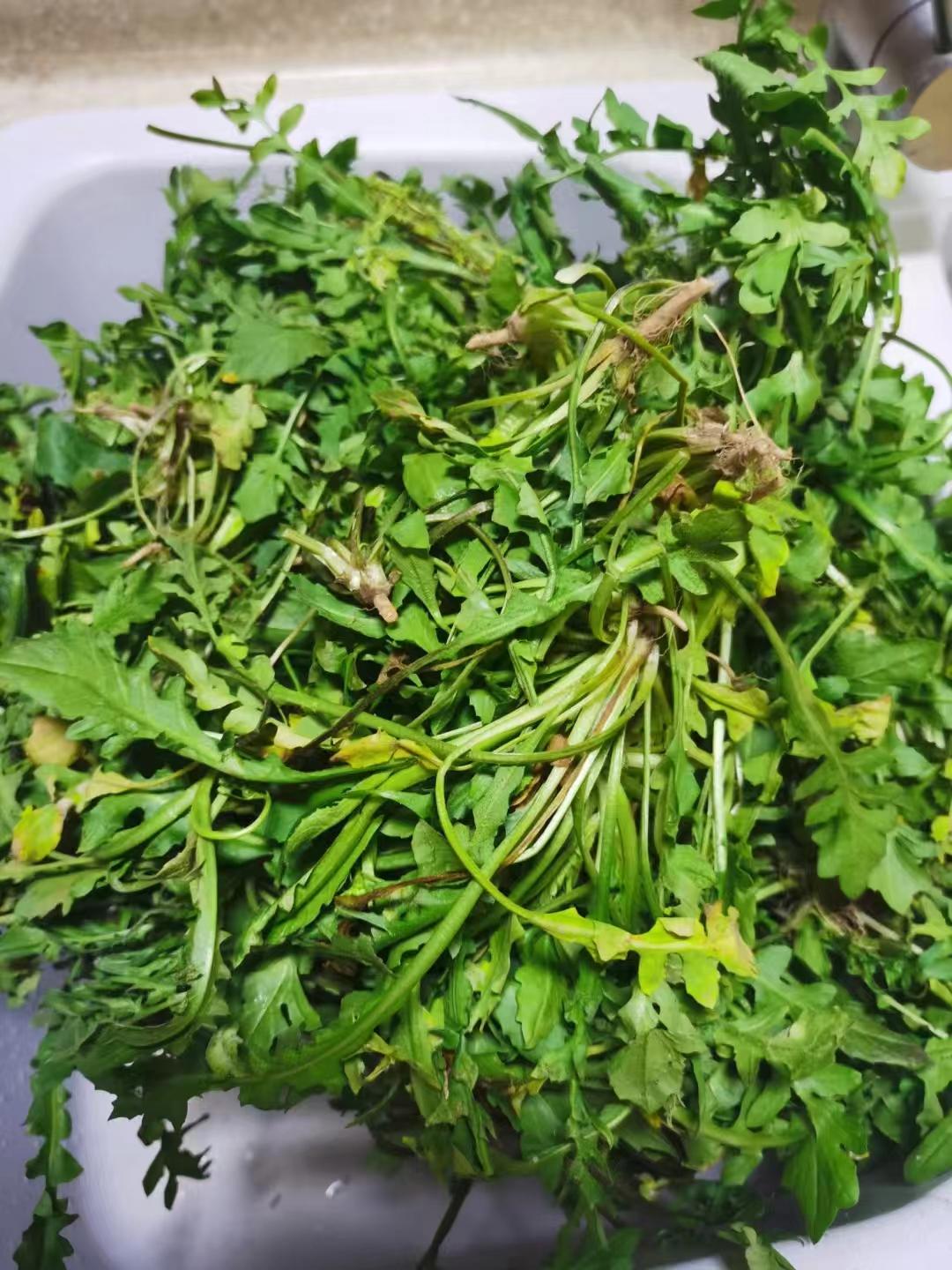 这个季节每一口都是春天的味道,阳春三月又到了品尝春味的时候