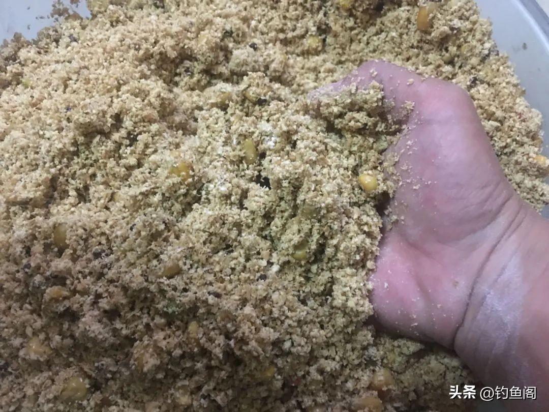 渔具店老板用什么饵钓鱼,钓鱼技巧渔具店