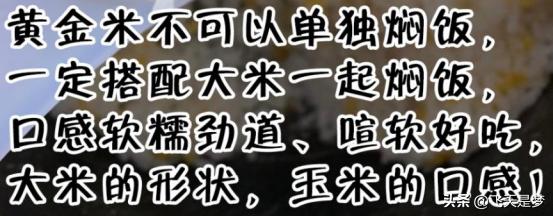 人工合成黄金米,黄金米是什么合成的能吃吗