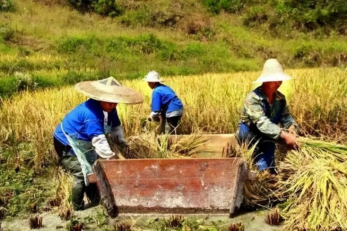 生产队里的那些事,生产队的那些事儿