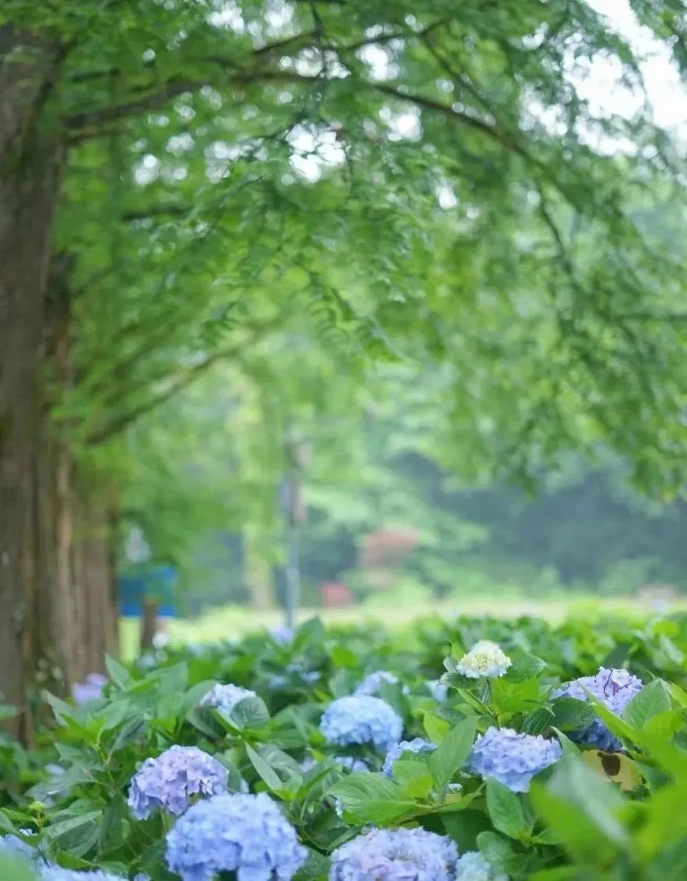 西昌特种兵式旅游攻略,邛崃旅游一日游