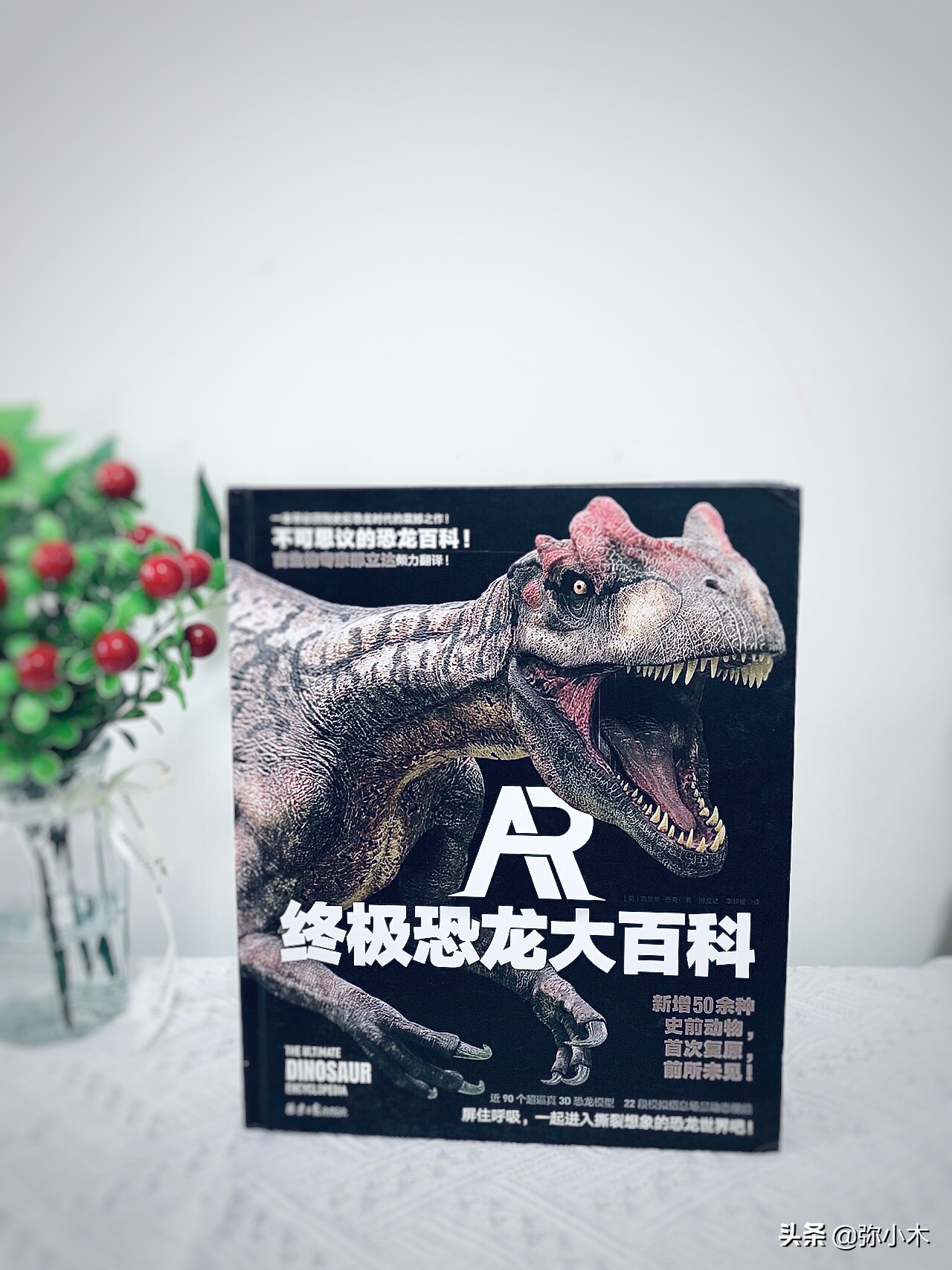 如何给孩子选一本恐龙百科书,适合3-6岁儿童看的恐龙书籍