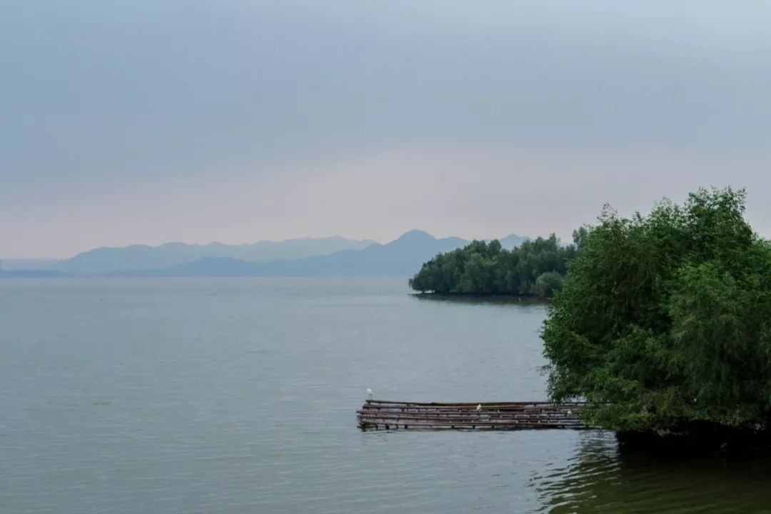 家住深圳必去的公园绿道,深圳环湖绿道好玩么