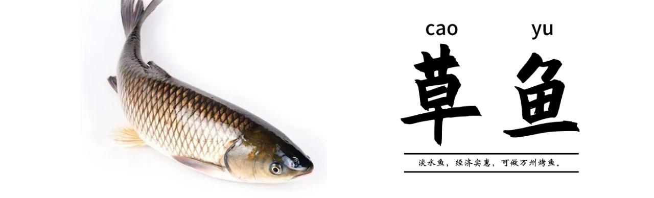 正宗万州烤鱼用什么鱼,万州烤鱼一般用什么鱼