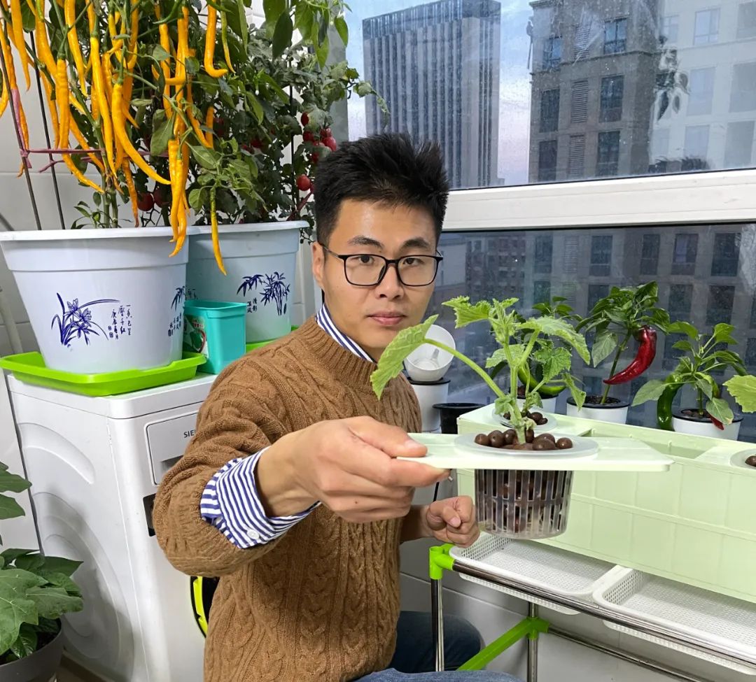 全自动阳台种菜神器,阳台立体种菜神器