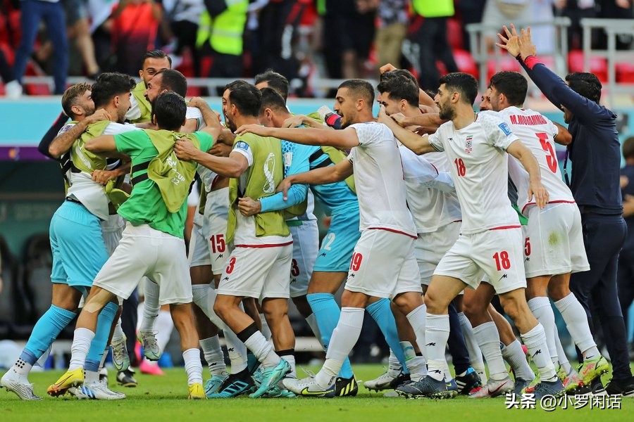 世界杯32支球队全家福,世界杯集锦24