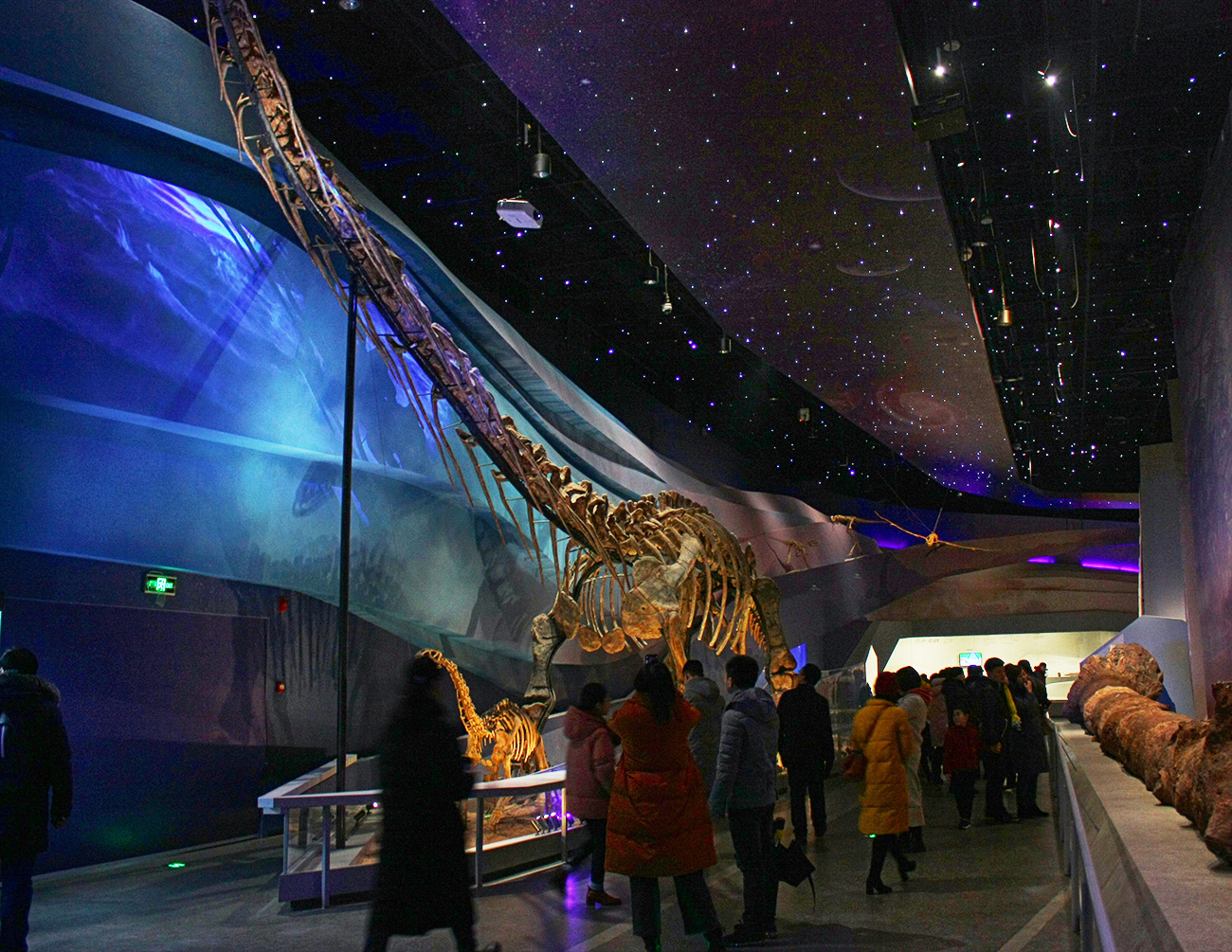 武汉老油条,武汉老油条烧烤