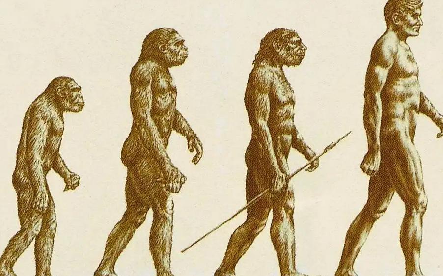 美国女孩艾米丽,美国女孩艾米丽在中国