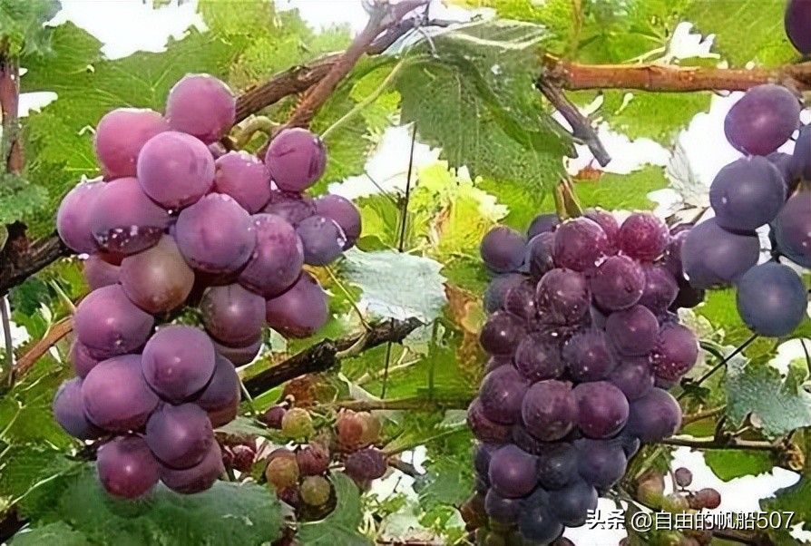 辽宁省沈阳市法库县鲜花店,辽宁省沈阳市法库县旅行社