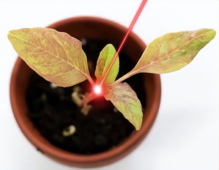 国外小伙自制高性能无人机,激光除草机器人