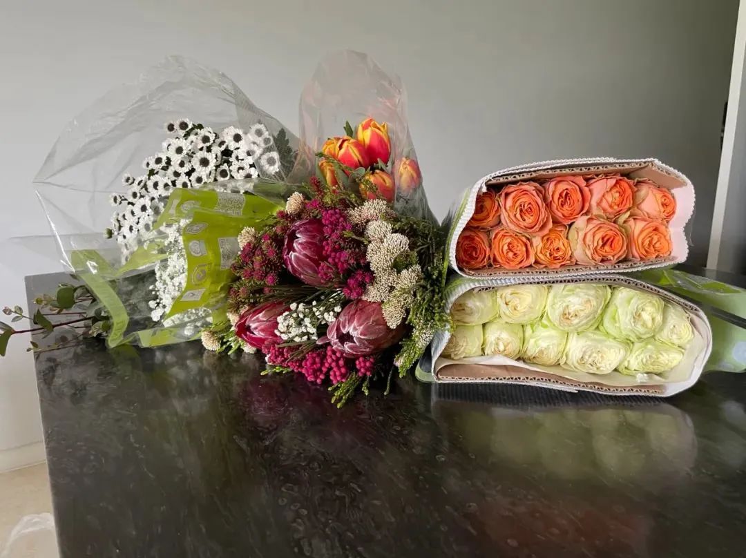 鲜花在水里能养几天会死,新加坡盆栽花卉怎么养